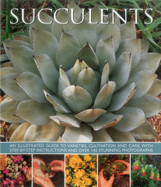 Cover image for 9781780193656 - Succulents