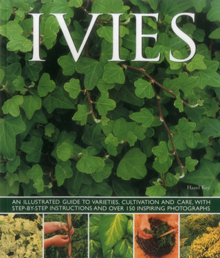 Cover image for 9781780193687 - Ivies