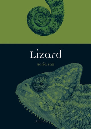 Cover image for 9781780238289 - Lizard