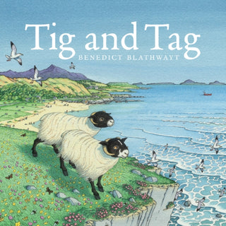 Cover image for 9781780273129 - Tig and Tag