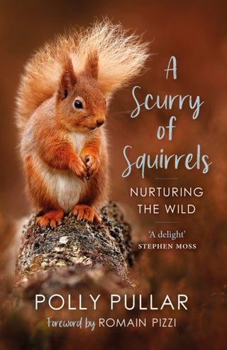 Cover image for 9781780277752 - A Scurry of Squirrels
