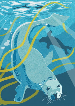 Cover image for 9781780278216 - Nature Notebook: Seal