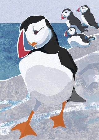 Cover image for 9781780278230 - Nature Notebook: Puffin