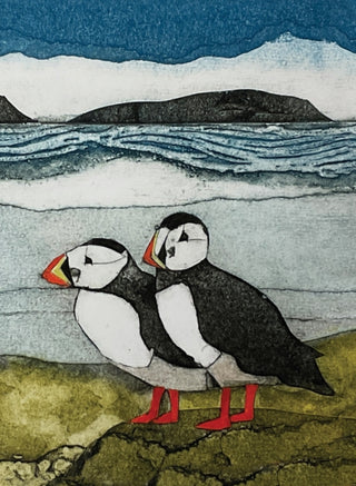 Cover image for 9781780278452 - Wild Birds Pocket Notebook: Puffin