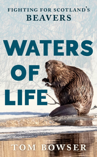 Cover image for 9781780278674 - Waters of Life