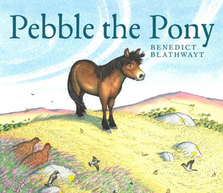 Cover image for 9781780278865 - Pebble the Pony
