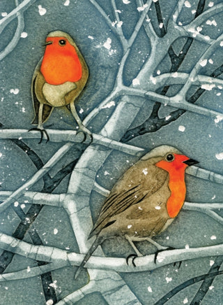 Cover image for 9781780279367 - Wild Birds Pocket Notebook: Robin
