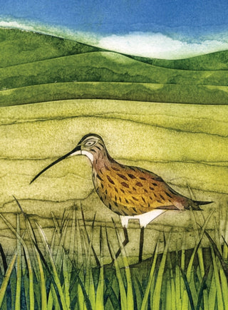 Cover image for 9781780279374 - Wild Birds Pocket Notebook: Curlew