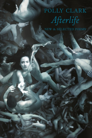 Cover image for 9781780373720 - Afterlife