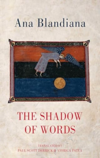 Cover image for 9781780375403 - The Shadow of Words
