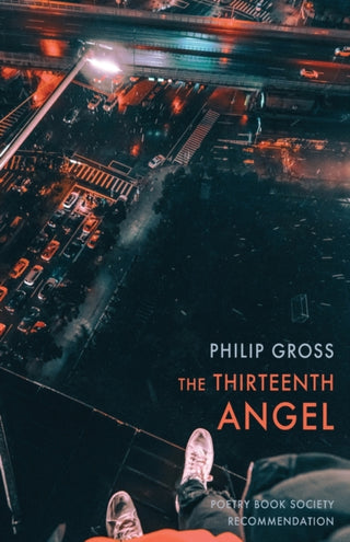 Cover image for 9781780376356 - The Thirteenth Angel