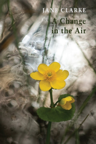 Supplemental image for 9781780376592 - A Change in the Air