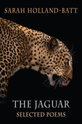 Cover image for 9781780377049 - The Jaguar