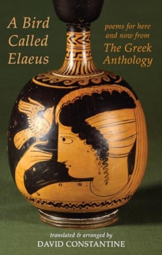 Cover image for 9781780377223 - A Bird Called Elaeus