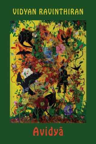 Cover image for 9781780377391 - Avidya
