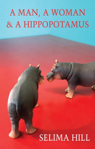 Cover image for 9781780377520 - A Man, a Woman & a Hippopotamus