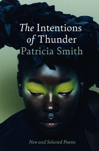 Cover image for 9781780377919 - The Intentions of Thunder