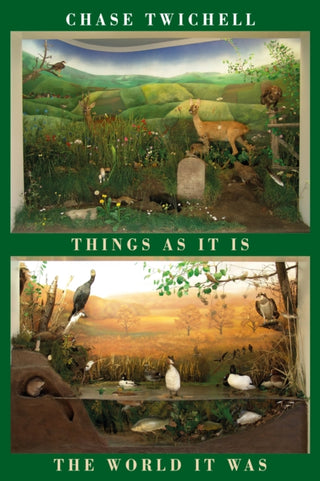 Cover image for 9781780377988 - Things as It Is | The World It Was