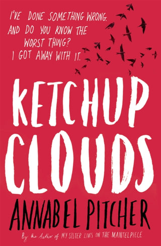 Cover image for 9781780620312 - Ketchup Clouds