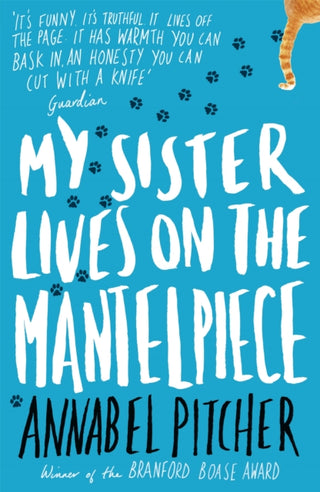 Cover image for 9781780621869 - My Sister Lives on the Mantelpiece