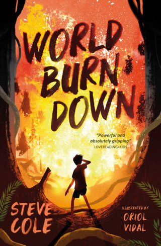 Cover image for 9781781129463 - WORLD BURN DOWN