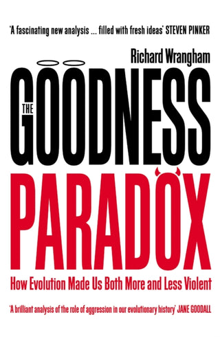Cover image for 9781781255841 - The Goodness Paradox