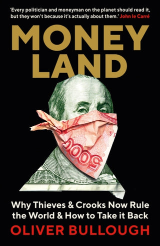 Cover image for 9781781257937 - Moneyland