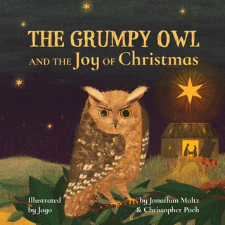 Cover image for 9781781405291 - The Grumpy Owl and the Joy of Christmas