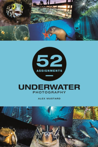 Cover image for 9781781454893 - 52 Assignments: Underwater Photography