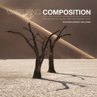 Cover image for 9781781454930 - Mastering Composition