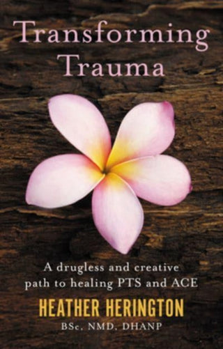 Cover image for 9781781612255 - Transforming Trauma