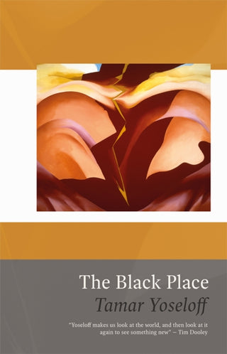 Cover image for 9781781725597 - The Black Place
