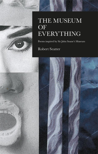 Cover image for 9781781725856 - The House of Everything