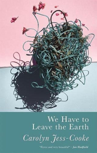 Cover image for 9781781726433 - We Have to Leave the Earth