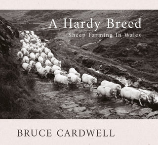 Cover image for 9781781727218 - A Hardy Breed