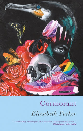 Cover image for 9781781727362 - Cormorant