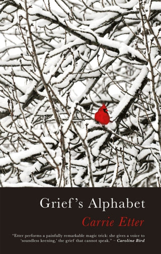 Cover image for 9781781727508 - Grief’s Alphabet