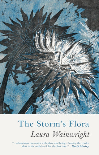 Cover image for 9781781727911 - The Storm's Flora