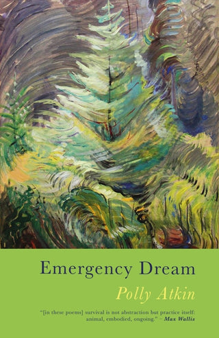 Cover image for 9781781727959 - Emergency Dream