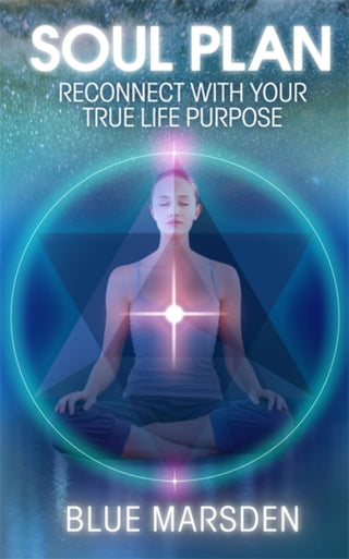 Supplemental image for 9781781800768 - Soul Plan