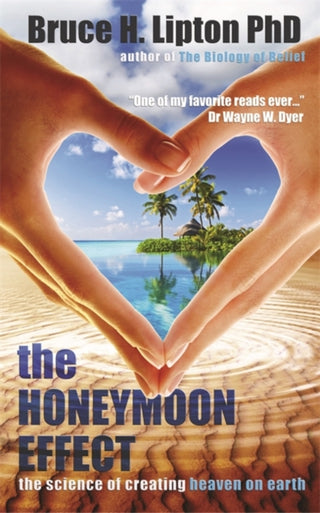 Cover image for 9781781801895 - The Honeymoon Effect