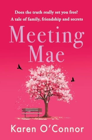 Cover image for 9781781996744 - Meeting Mae