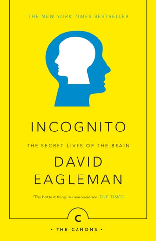 Cover image for 9781782112464 - Incognito
