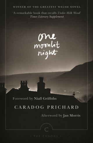 Cover image for 9781782116769 - One Moonlit Night