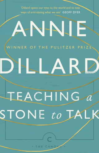 Cover image for 9781782118855 - Teaching a Stone to Talk