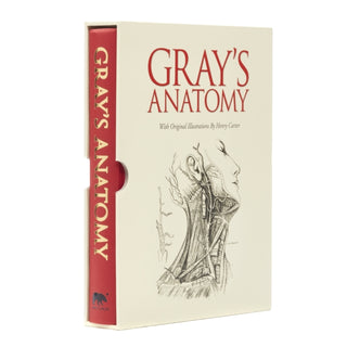 Cover image for 9781782124269 - Gray's Anatomy