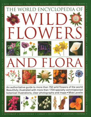 Supplemental image for 9781782142140 - Wild Flowers & Flora, The World Encyclopedia of
