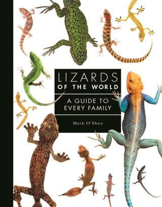 Cover image for 9781782409571 - Lizards of the World