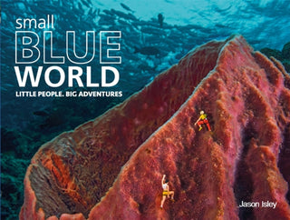 Cover image for 9781782435655 - Small Blue World