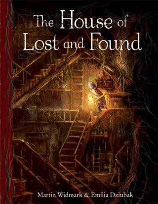 Cover image for 9781782505426 - The House of Lost and Found